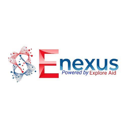 E-Nexus Logo